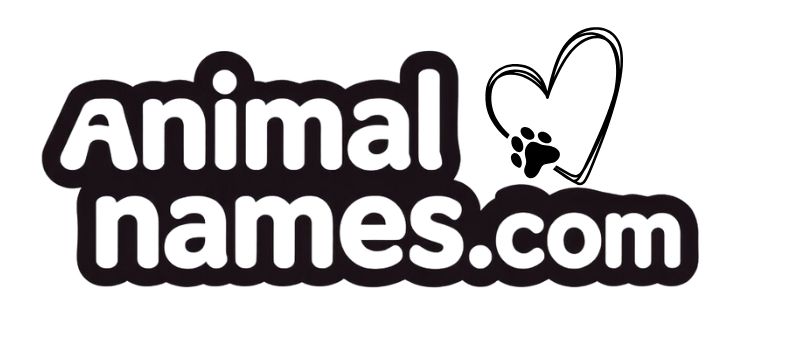 Animal Names Logo