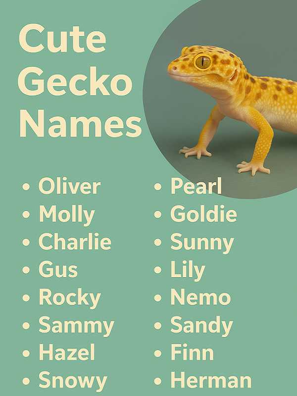 Cute Gecko Names