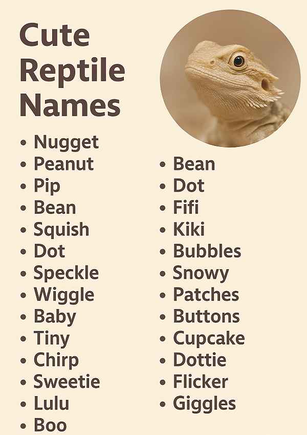 Cute Reptile Names
