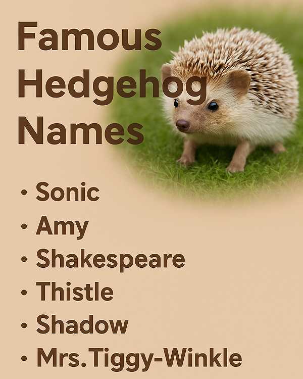 Famous Hedgehog Names