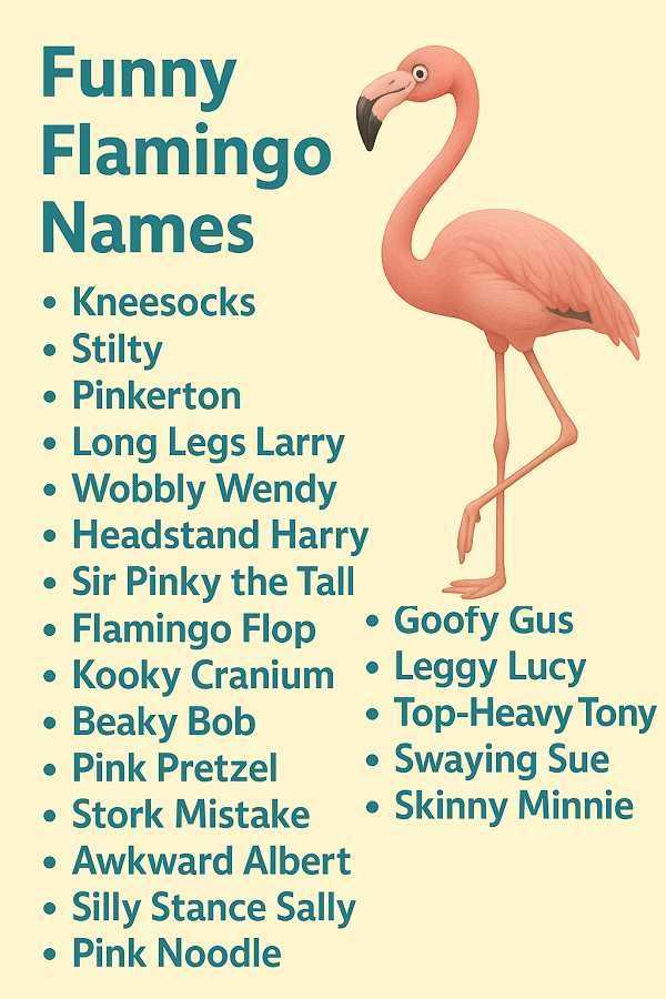 Funny Flamingo Names