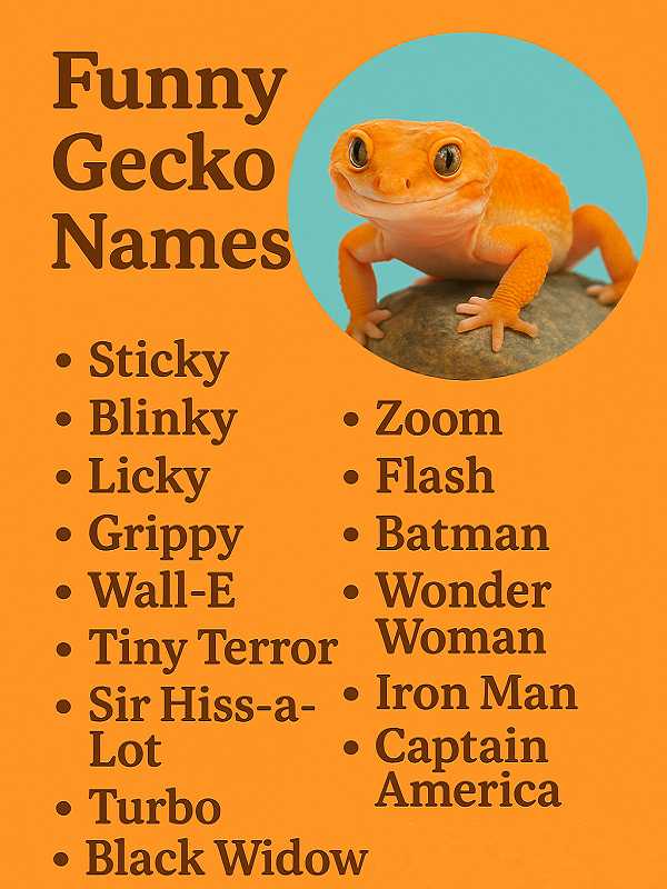 Funny Gecko Names