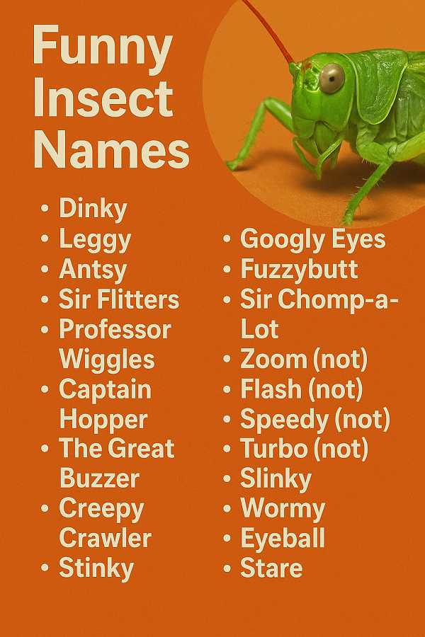 Funny Insect Names