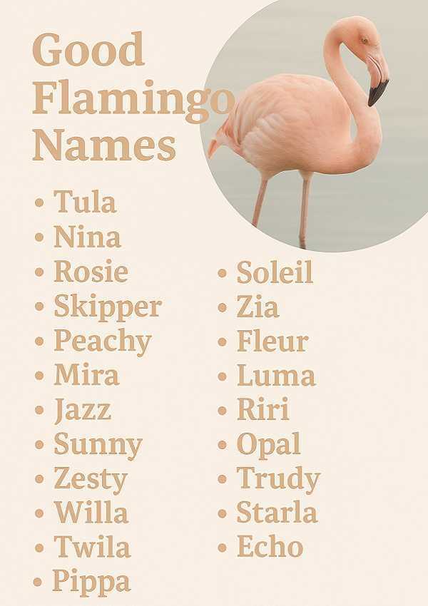 Good Flamingo Names