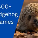 Hedgehog Names