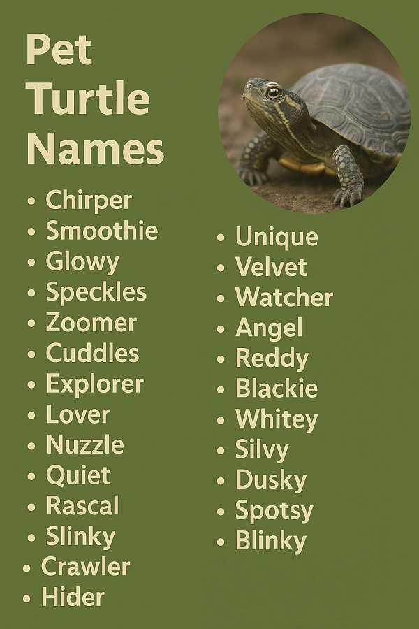 Pet Turtle Names