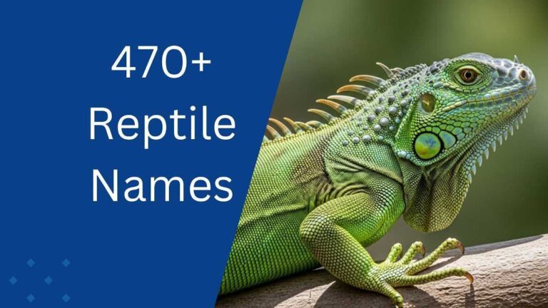 Reptile Names