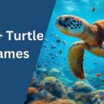 Turtle Names