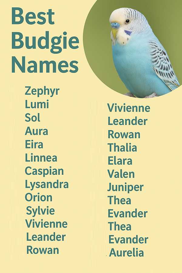 Best Budgie Names