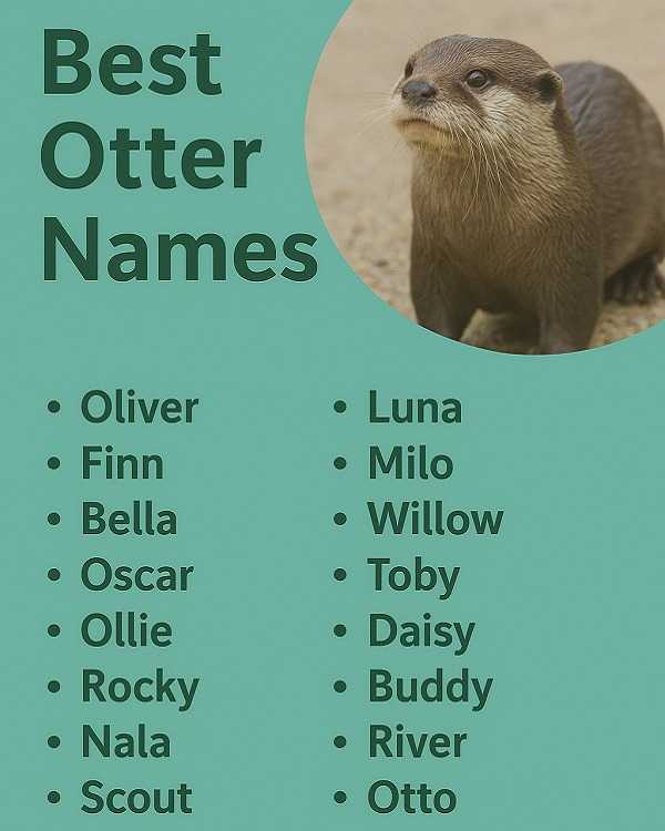 Best Otter Names
