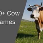 Cow Names