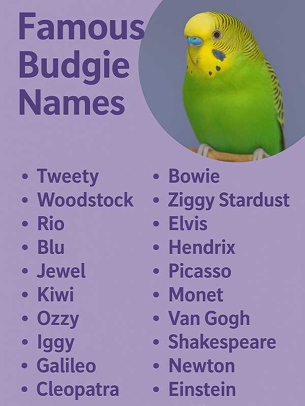 Famous Budgie Names