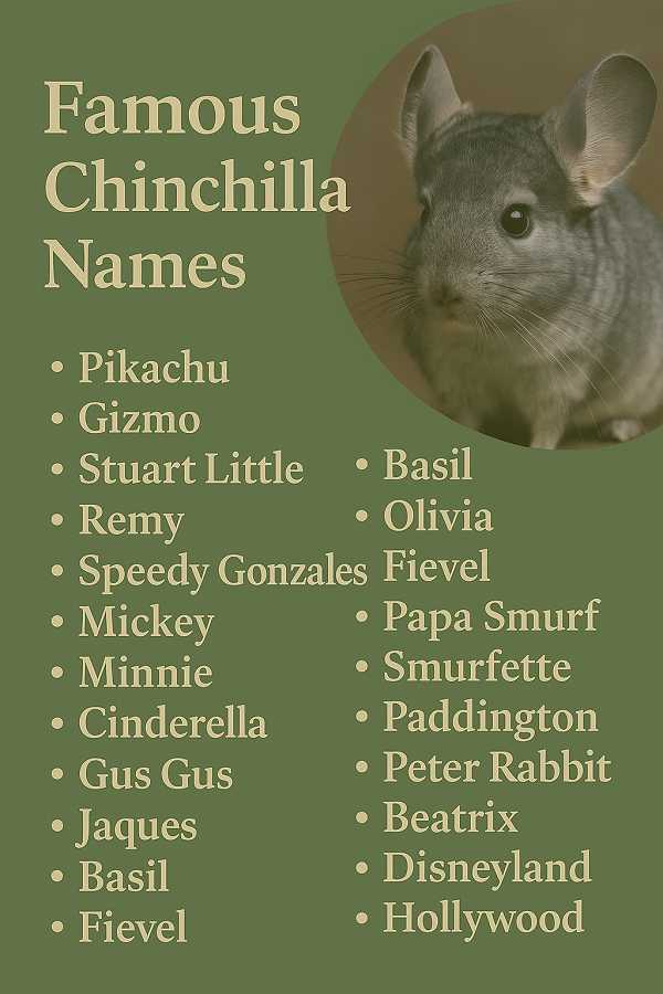 Famous Chinchilla Names