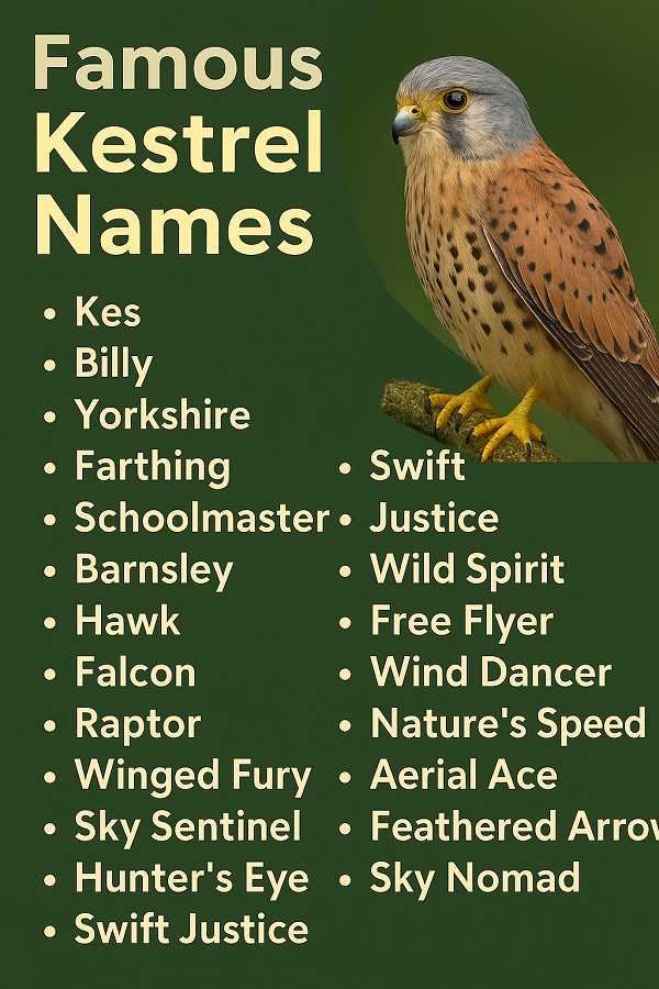 Famous Kestrel Names