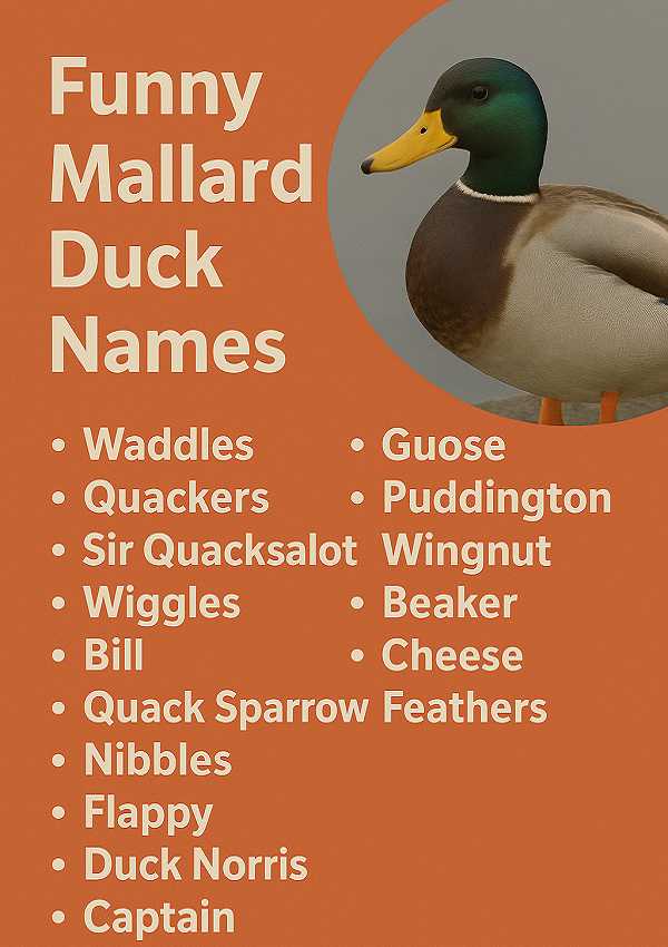 Funny Mallard Duck Names