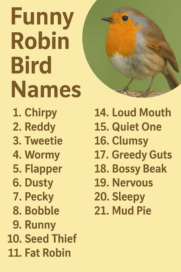 Funny Robin Bird Names