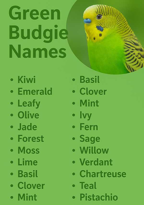 Green Budgie Names