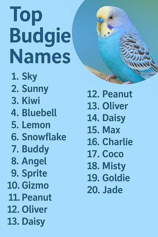 Top Budgie Names