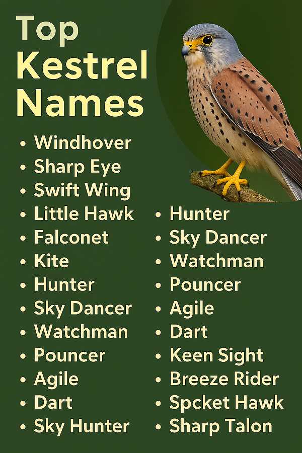 Top Kestrel Names