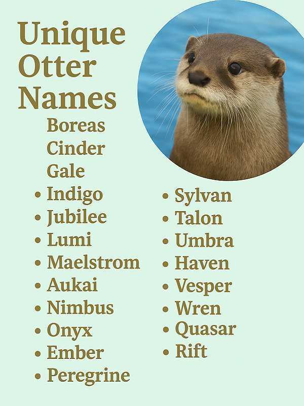 Unique Otter Names