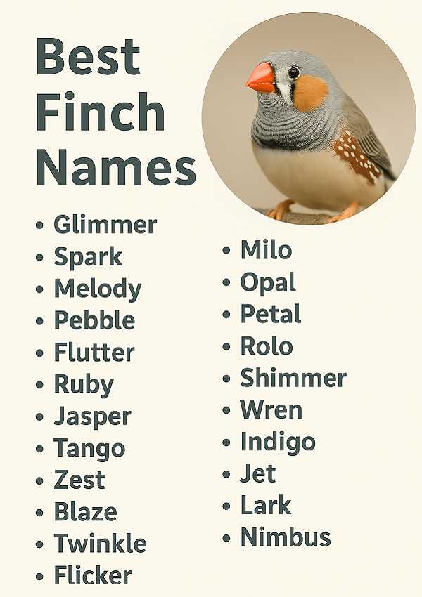Best Finch Names