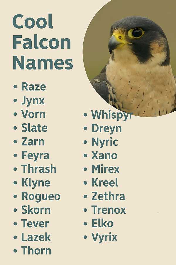 Cool Falcon Names