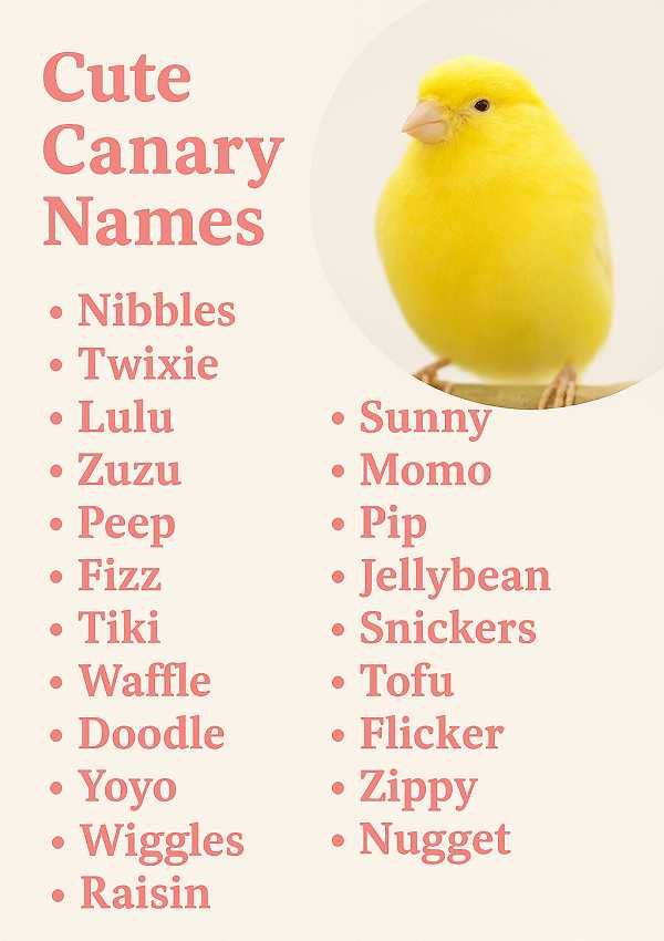Cute Canary Names