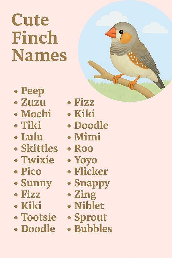 Cute Finch Names