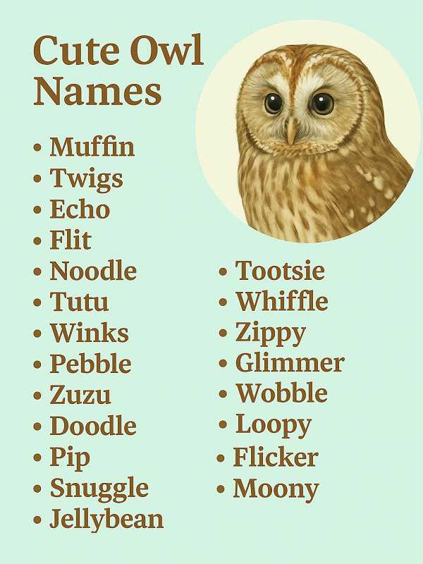 Cute Owl Names