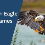 Eagle Names