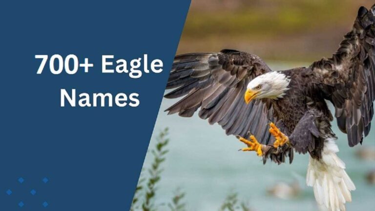 Eagle Names
