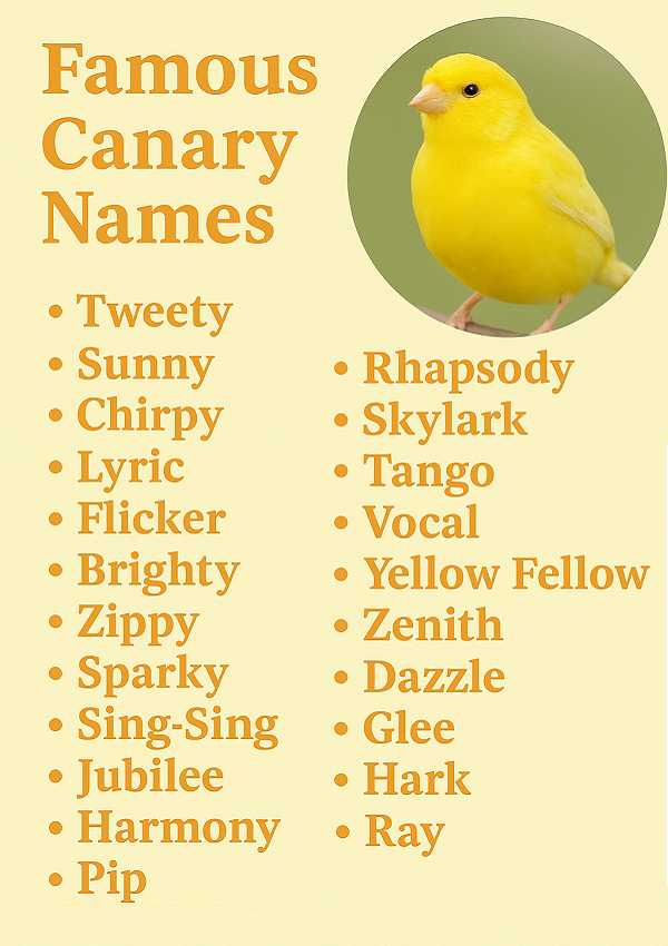 Famous Canary Names