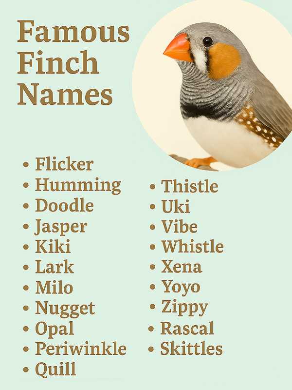 Famous Finch Names