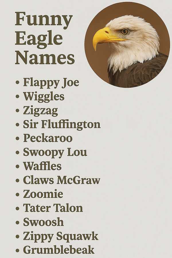 Funny Eagle Names