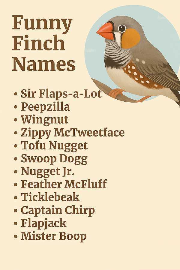Funny Finch Names