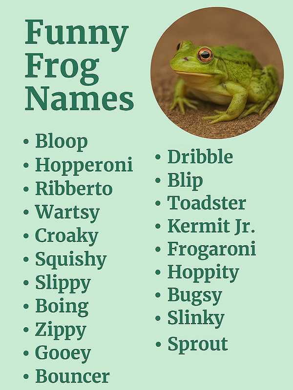 Funny Frog Names
