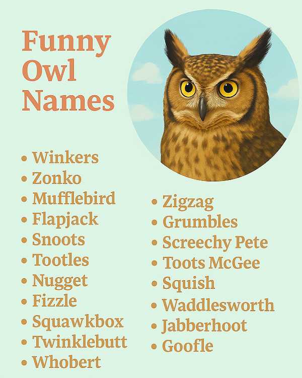 Funny Owl Names