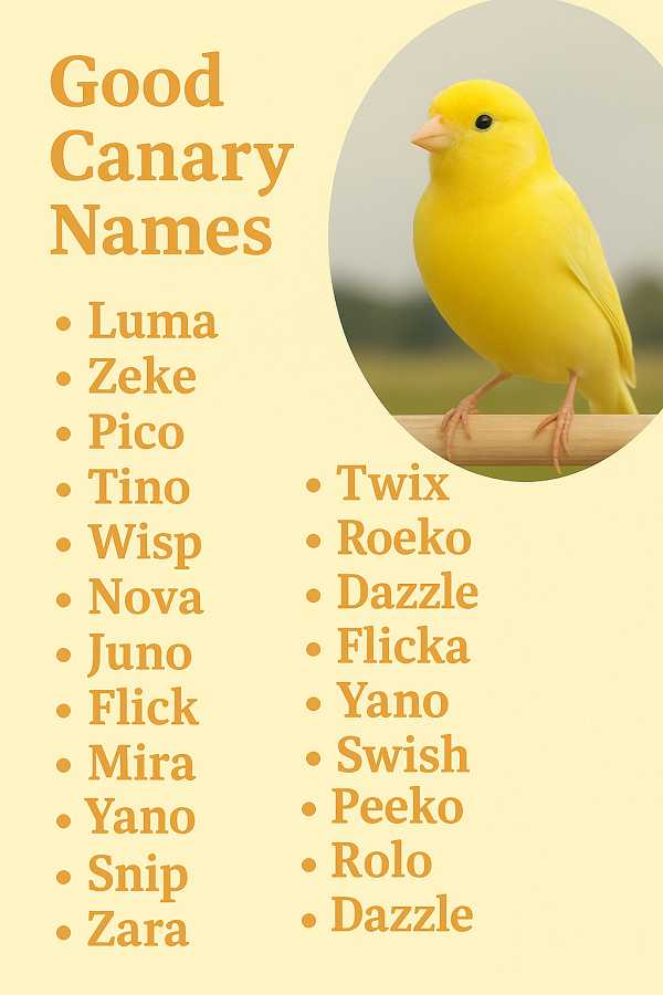 Good Canary Names