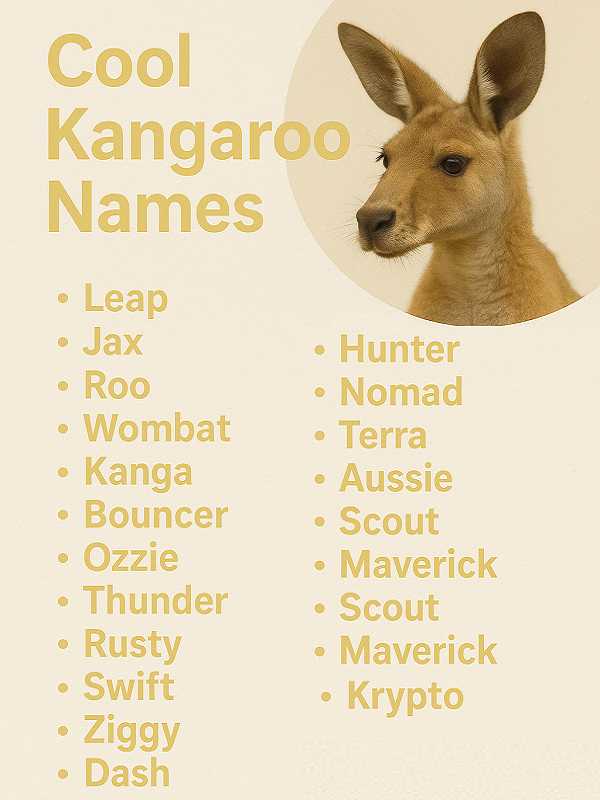 Cool Kangaroo Names