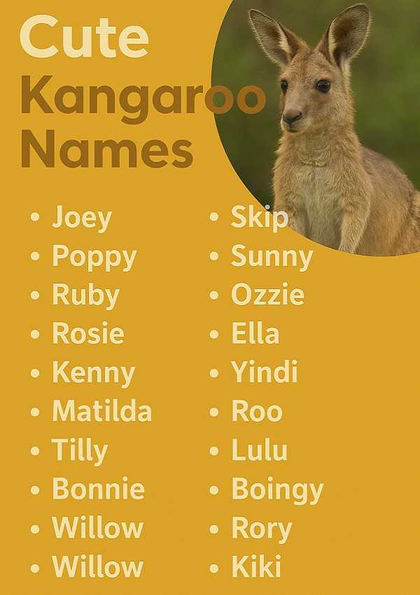Cute Kangaroo Names