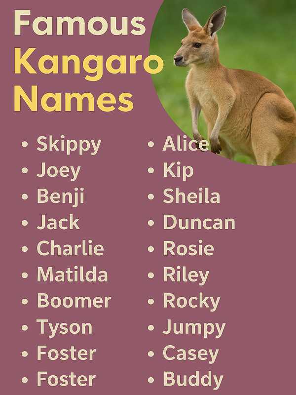 Famous Kangaroo Names