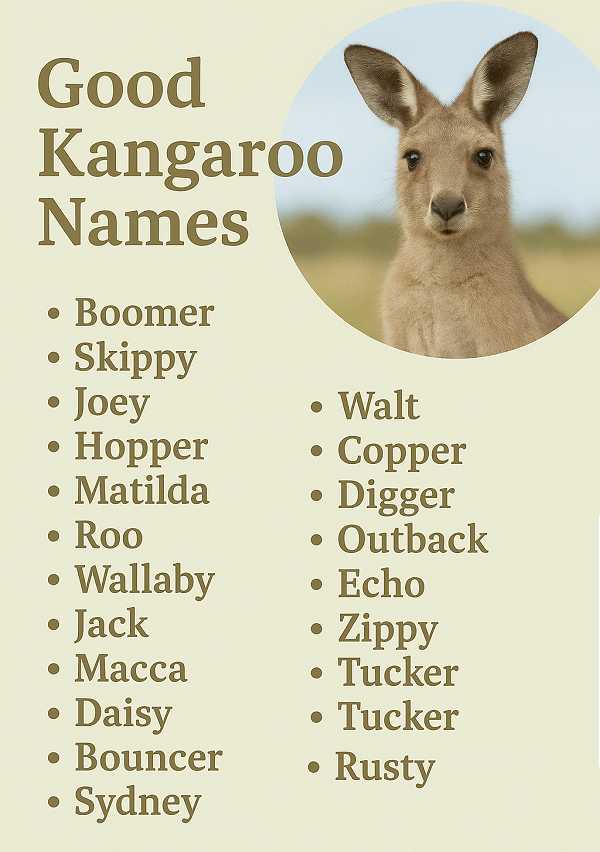 Good Kangaroo Names