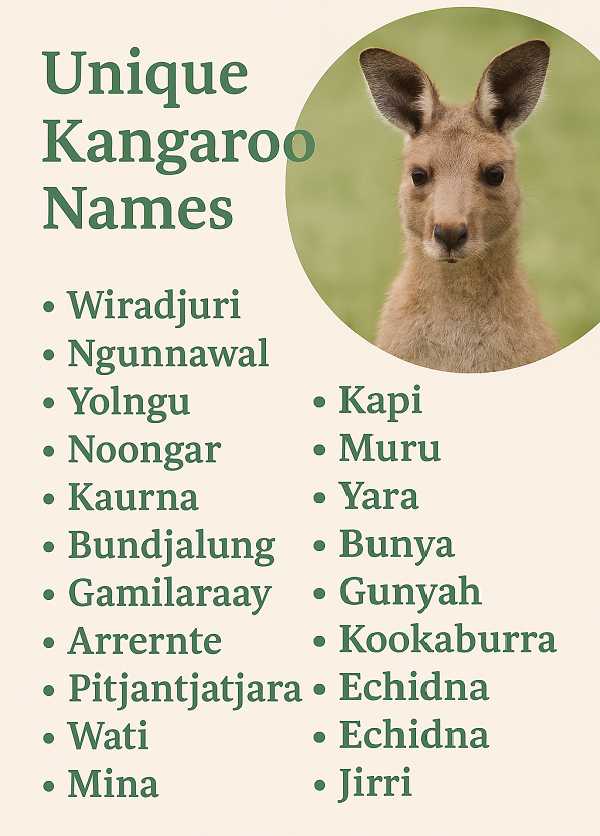 Unique Kangaroo Names