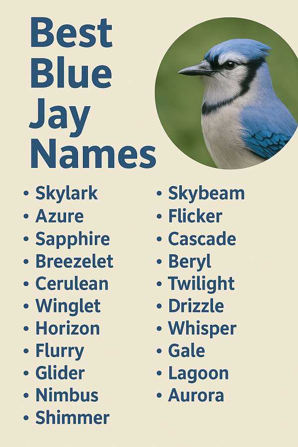 Best Blue Jay Names