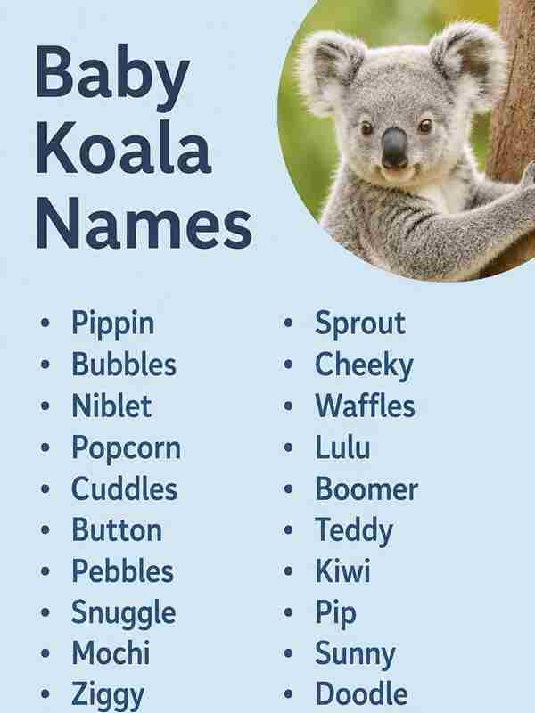 Baby Koala Names