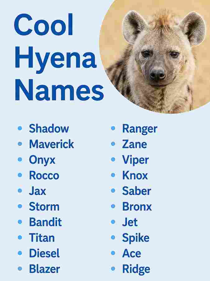 Cool Hyena Names