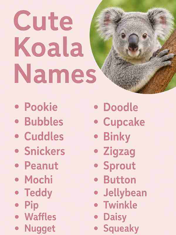 Cute Koala Names