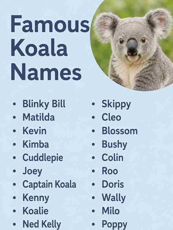 Famous Koala Names