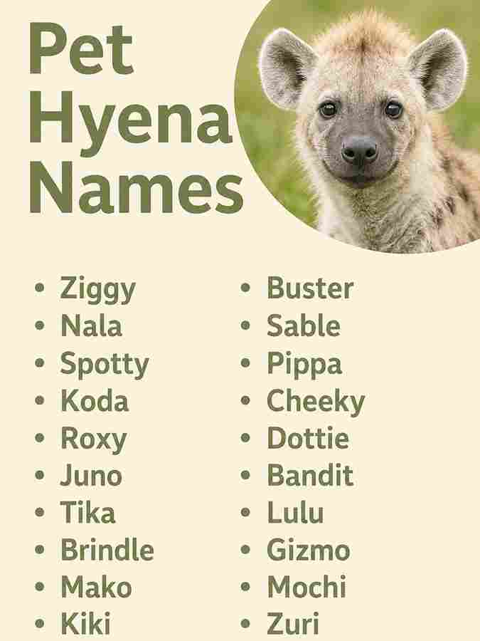 Pet Hyena Names