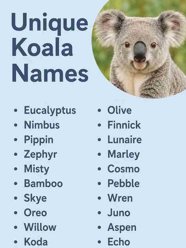 Unique Koala Names